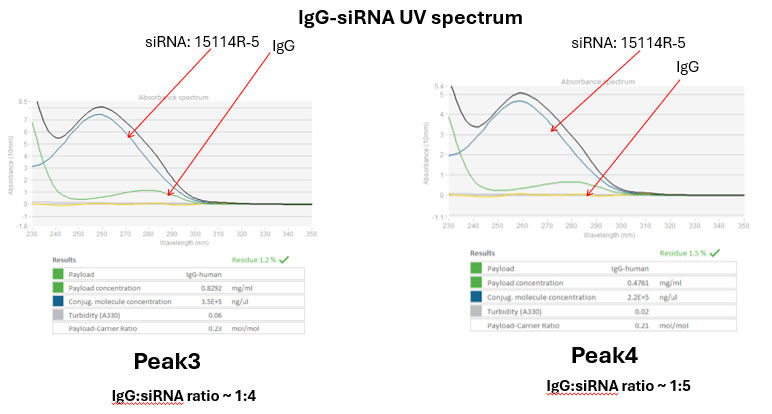 IgG–siRNA UV spectrum repeat